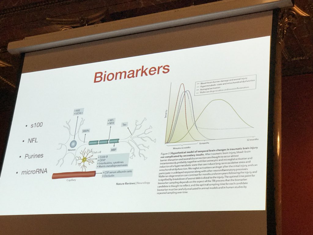 hugely complex slide with diagram and data graph supported by massive amount of unreadable text