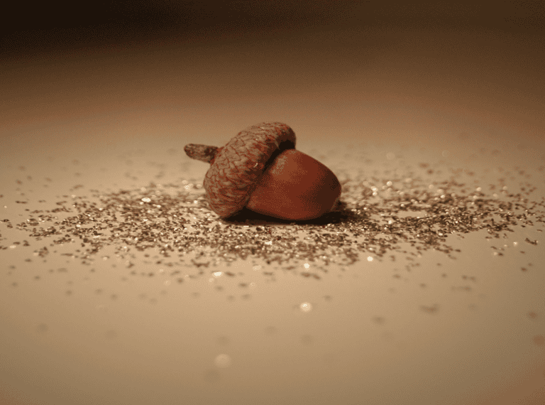 interview presentations