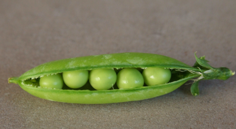 five peas