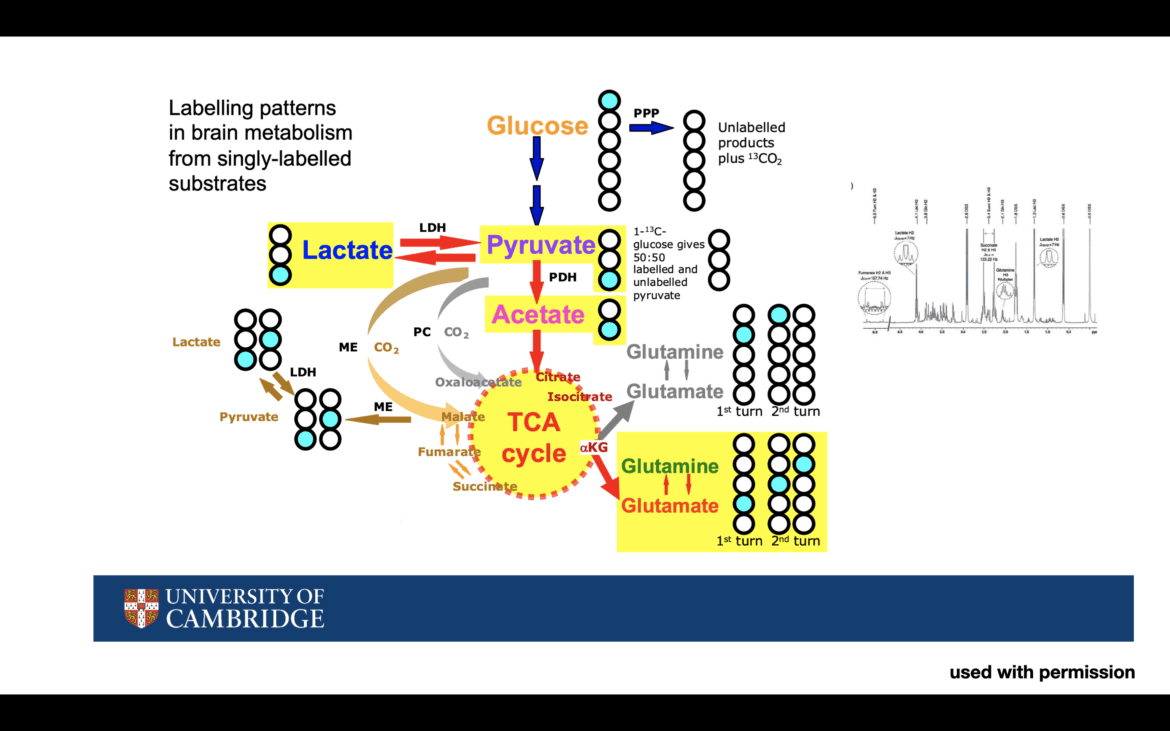 a complex slide showing biochemical reaction. the purpose of the image is to be deliberatley distracting and of no use to the viewer