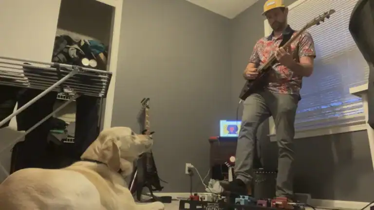 Guitarist playing guitar in a home studio with a Labrador dog watching attentively.